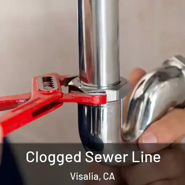  Clogged Sewer Line Visalia, CA