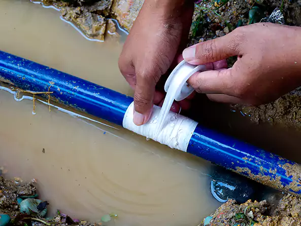  Why Choose Visalia Plumbing Pro for Leak Detection in Visalia, CA?]