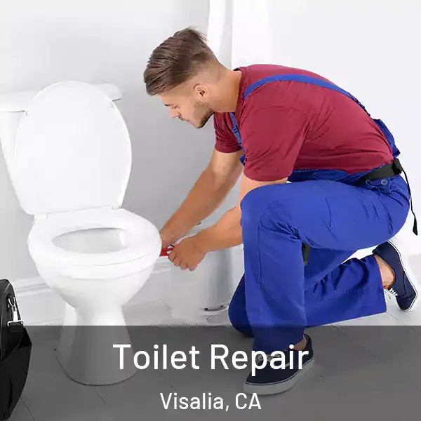  Toilet Repair Visalia, CA