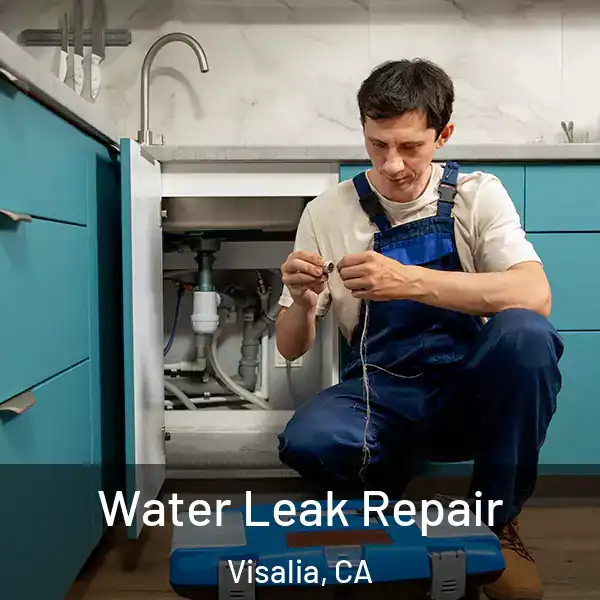  Water Leak Repair Visalia, CA